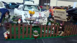 My Special Car 2013 - 3