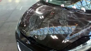 My Special Car 2013 - 26