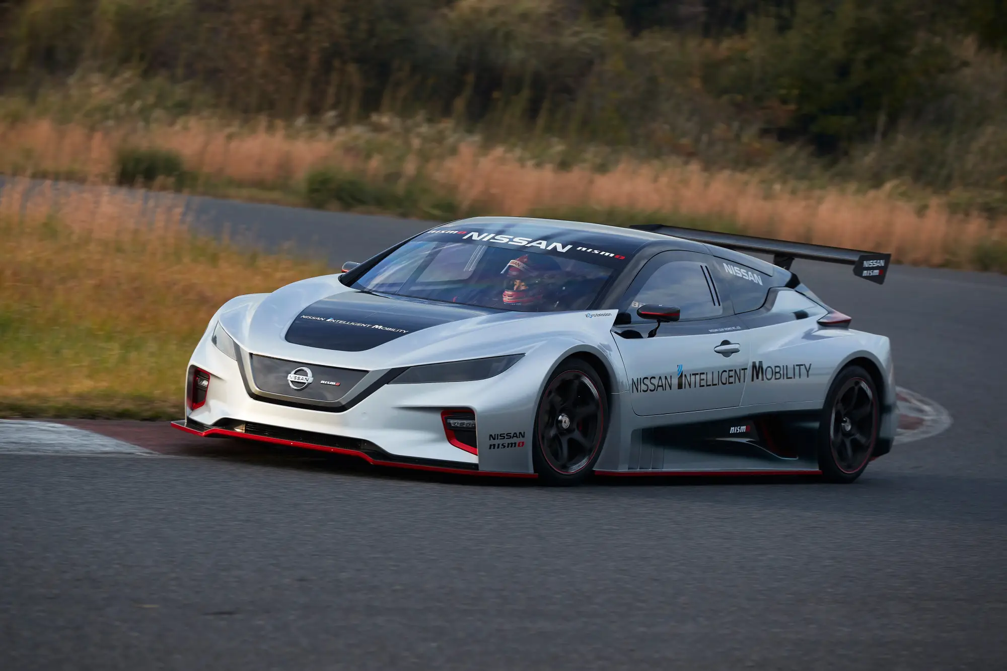 Nissan Leaf Nismo RC - 21