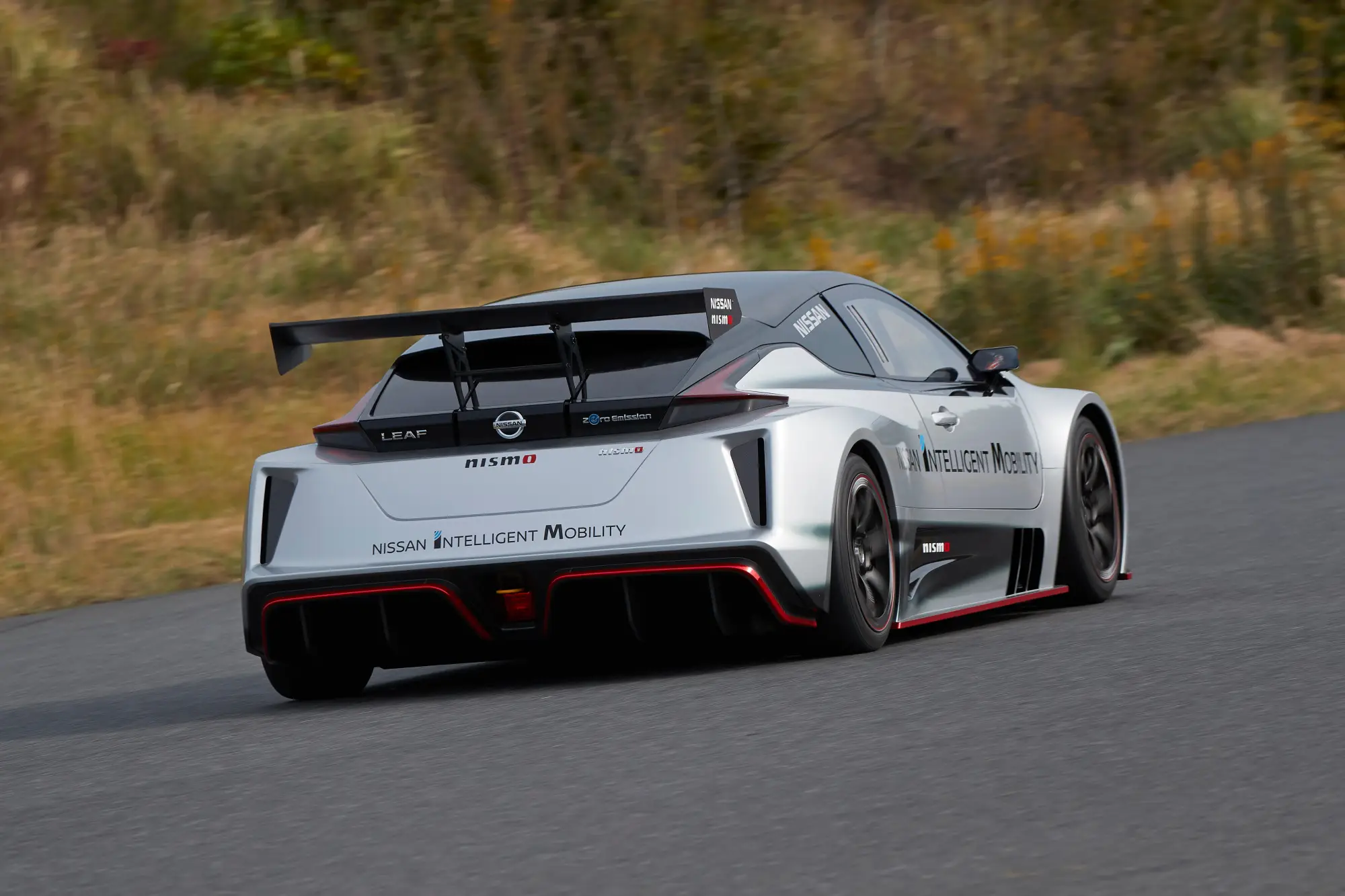 Nissan Leaf Nismo RC - 4