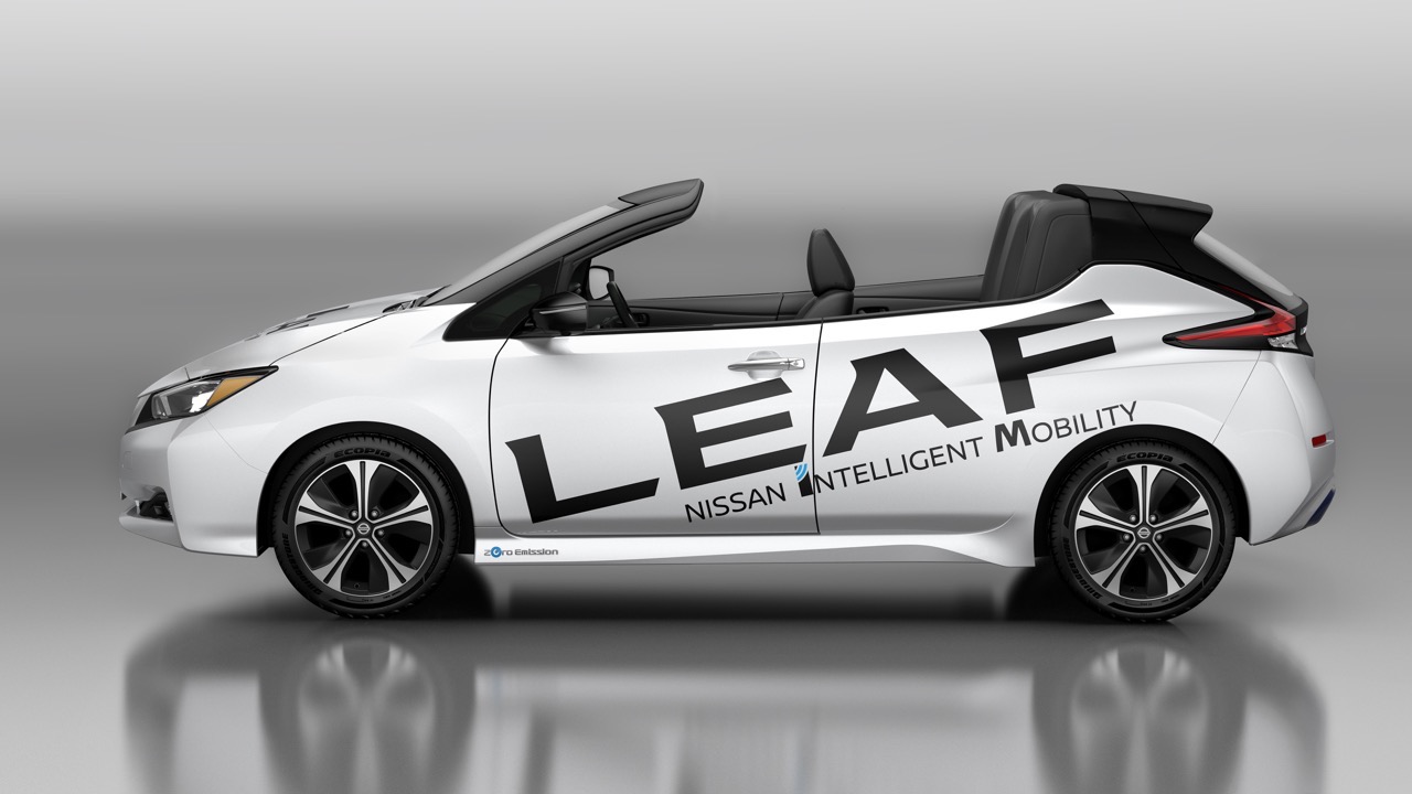 Nissan Leaf Open Car