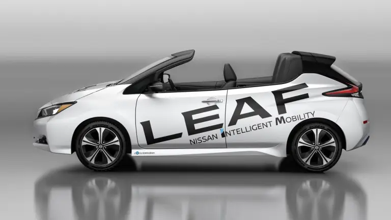 Nissan Leaf Open Car - 1