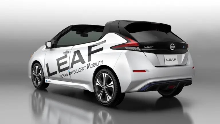 Nissan Leaf Open Car - 2