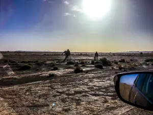 Nissan Navara MY 2016 - Sfida alle Dune del Sahara - 39