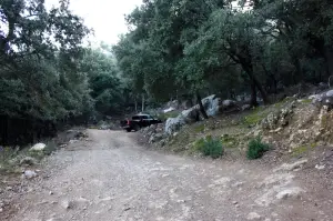 Nissan NP300 Navara - Primo contatto, Palma de Mallorca 19-20 novembre 2015 - 29