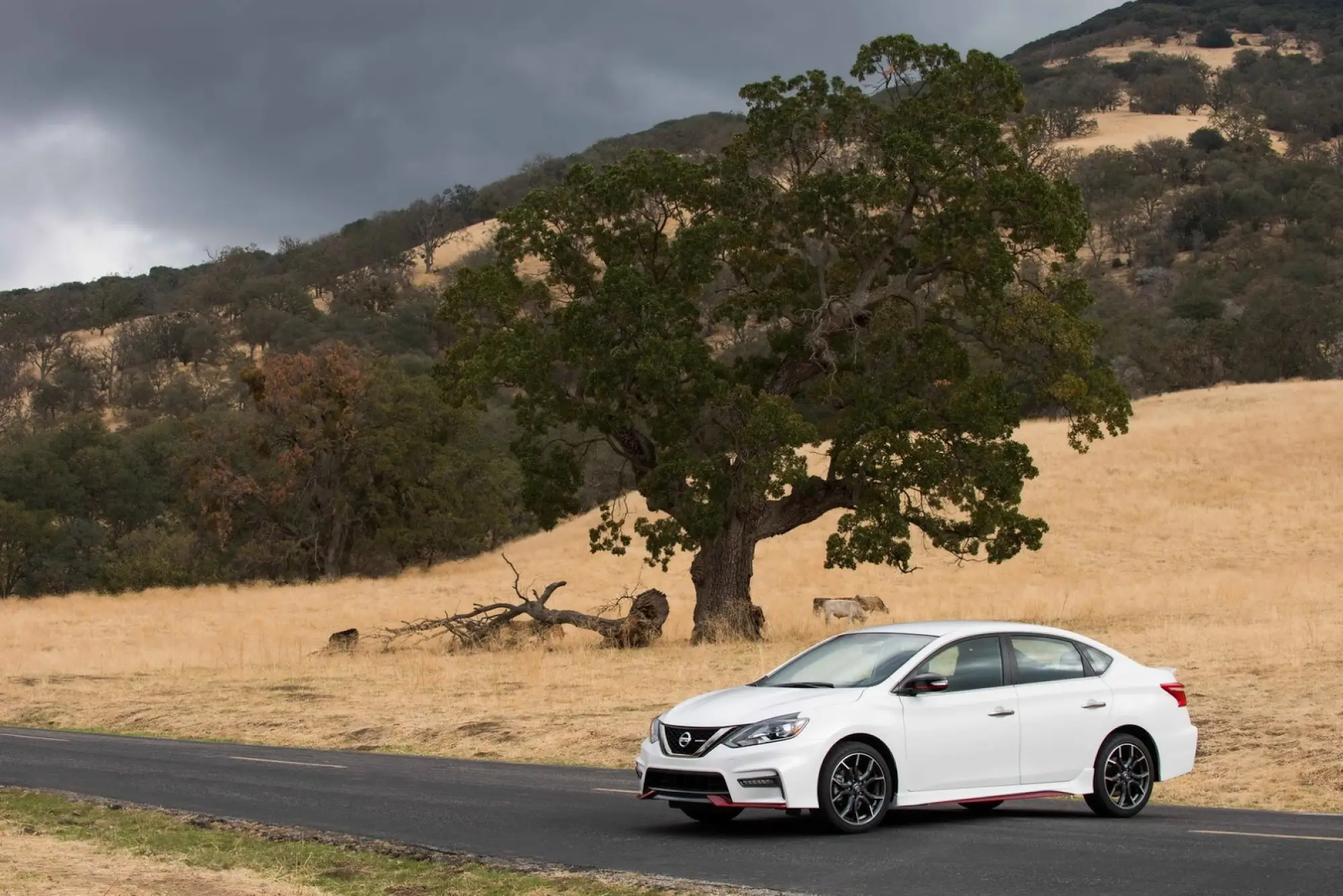 Nissan Sentra NISMO 2017 - 11