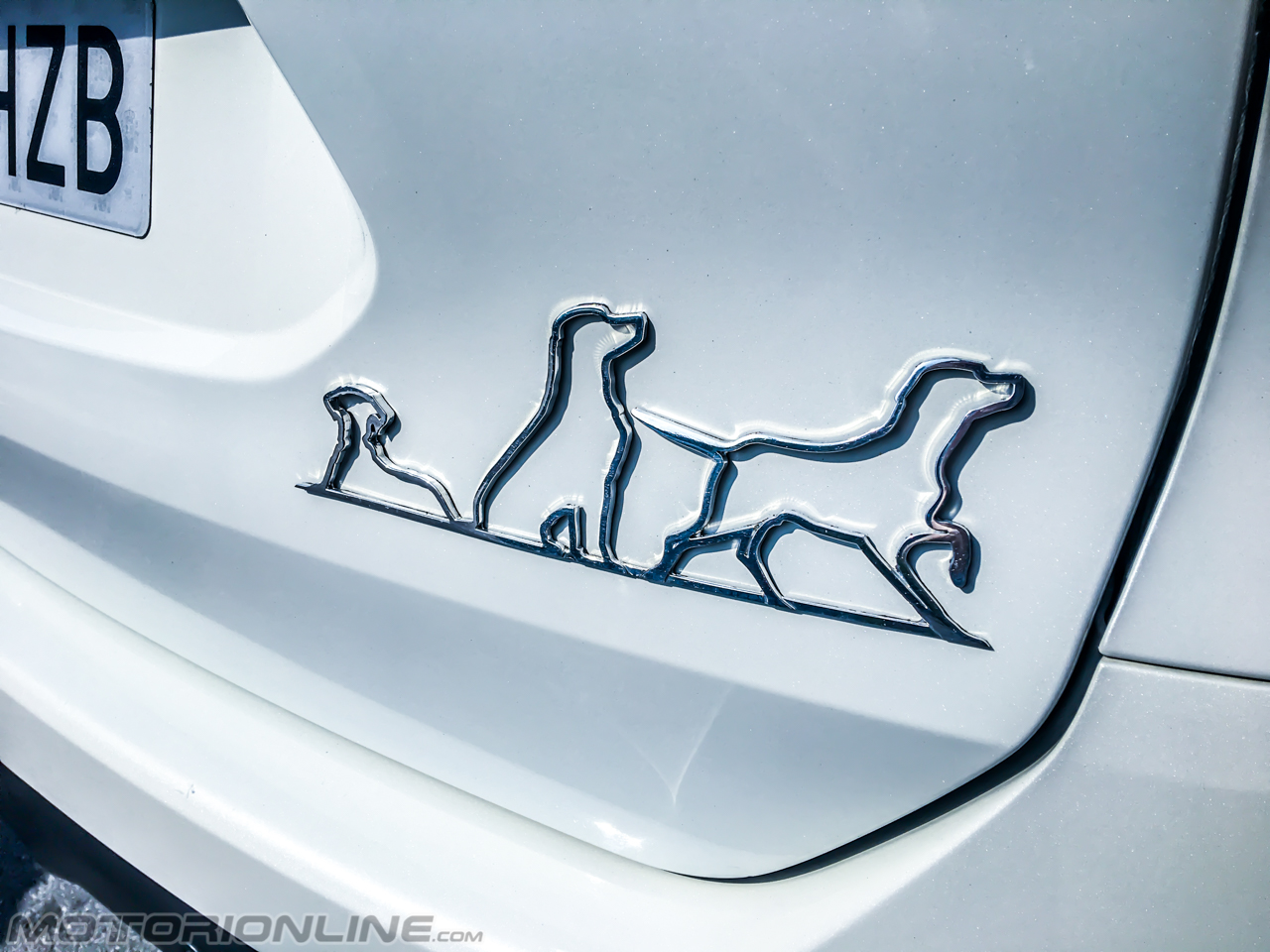 Nissan X-Trail 4Dogs