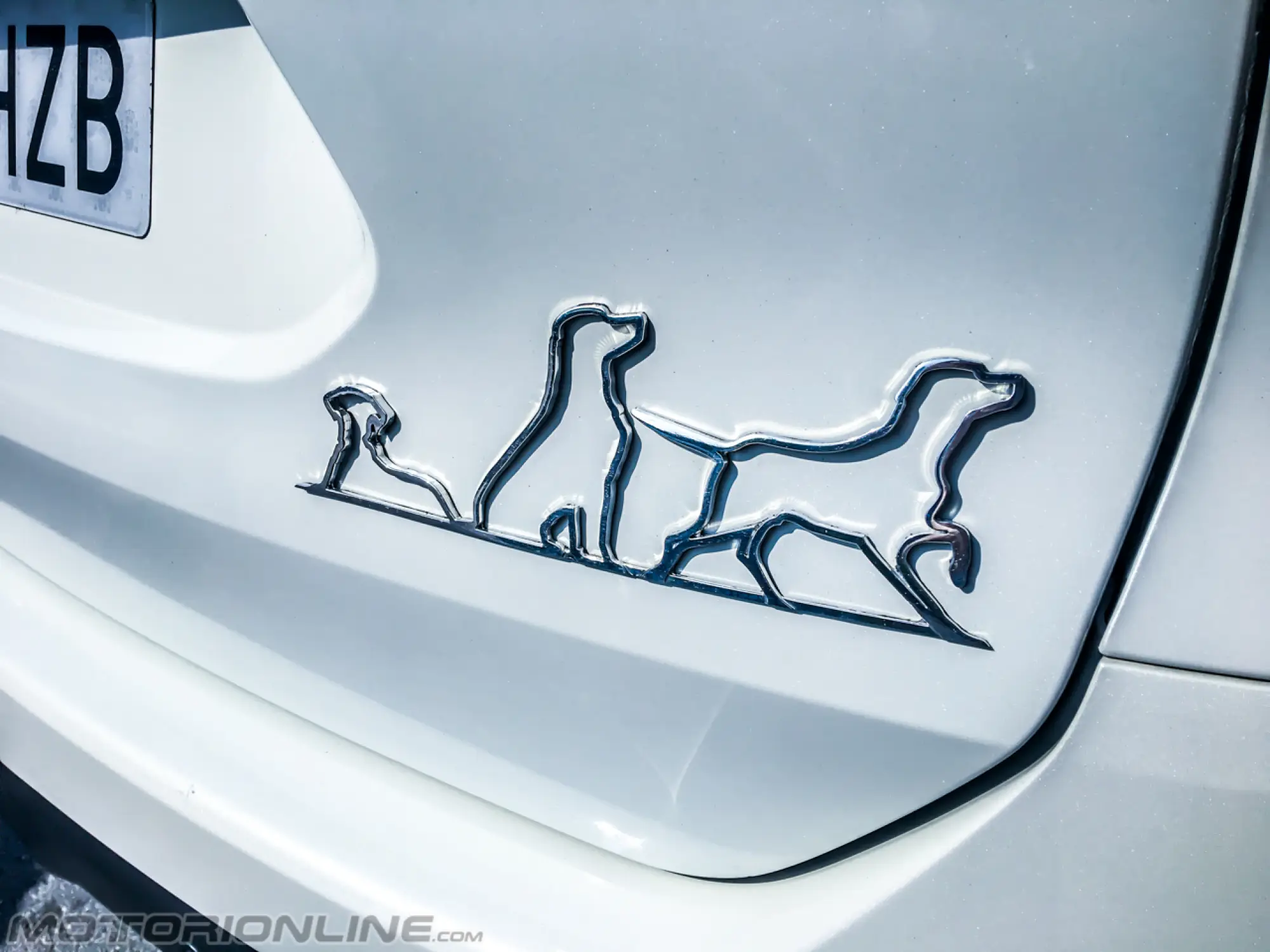 Nissan X-Trail 4Dogs - 2