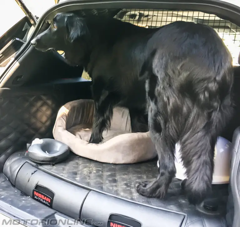 Nissan X-Trail 4Dogs - 4