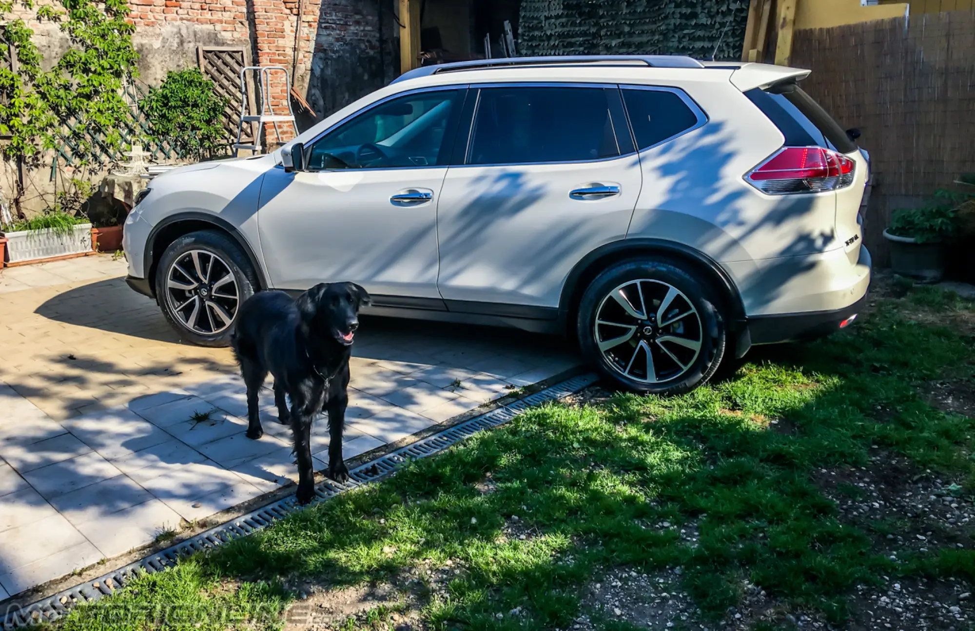 Nissan X-Trail 4Dogs - 6