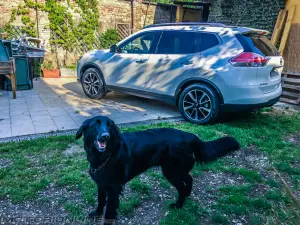 Nissan X-Trail 4Dogs - 12