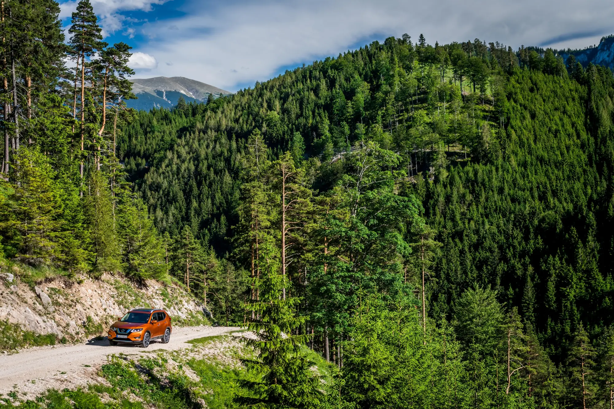 Nissan X-Trail MY 2018 - 24