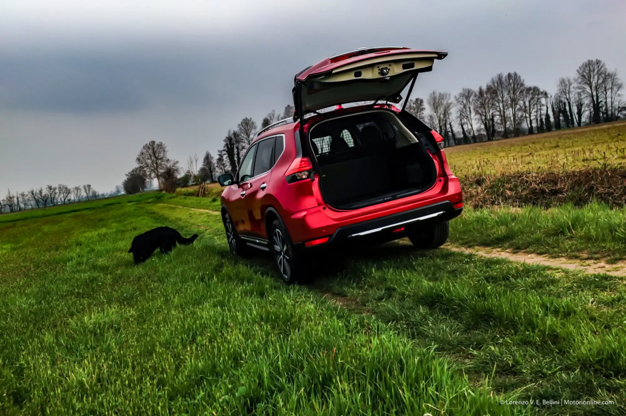 Nissan X-Trail Trainer con Schatz - 4