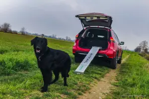 Nissan X-Trail Trainer con Schatz