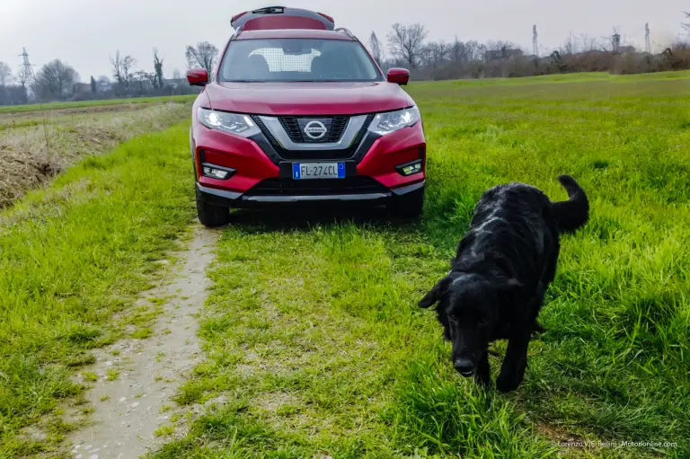 Nissan X-Trail Trainer con Schatz - 21