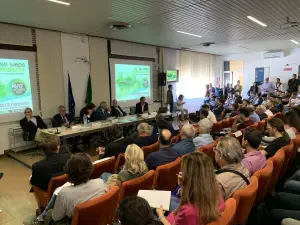 No Smog Mobility 2019