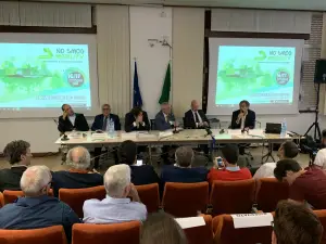 No Smog Mobility 2019