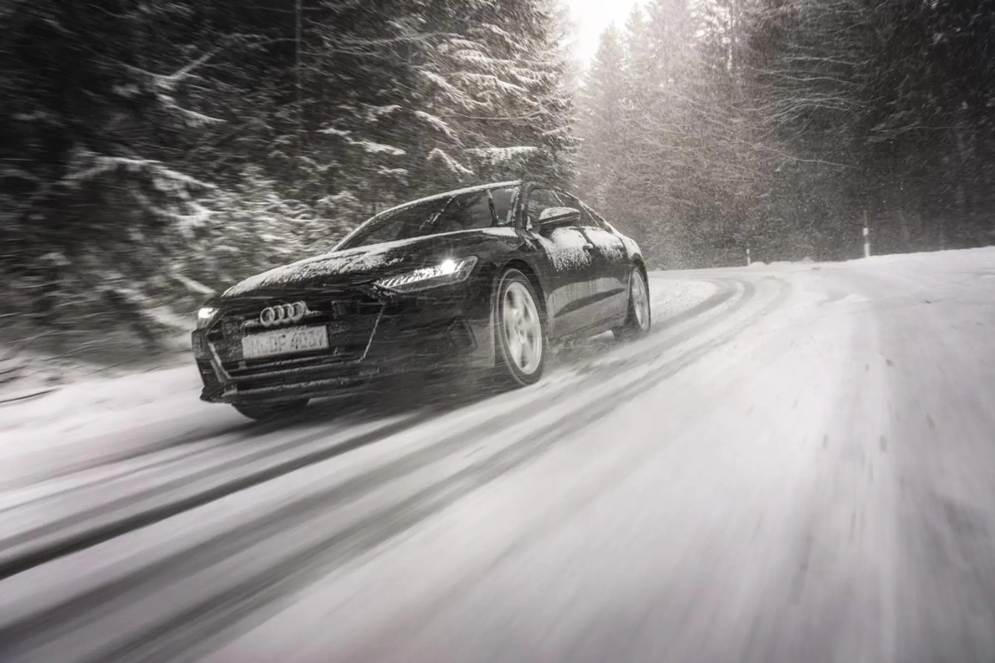 Nokian Snowproof P - 13