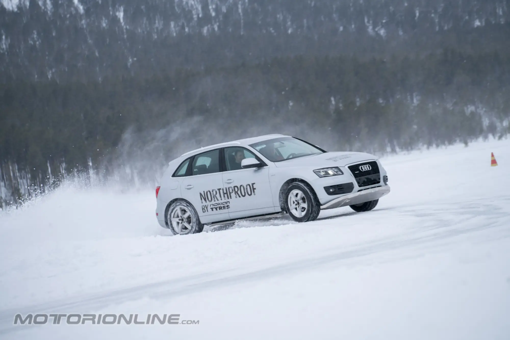 Nokian White Hell Ivalo - 113