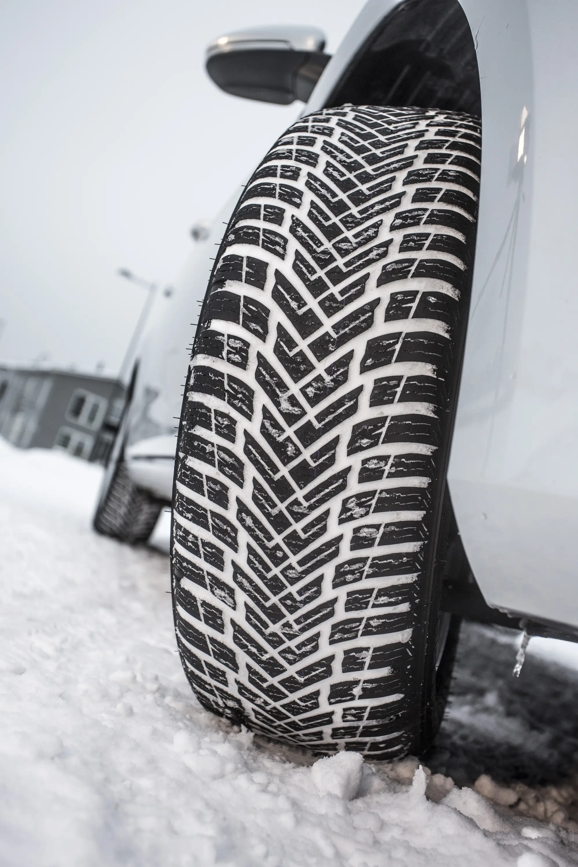 Nokian WR Snowproof 2019 - 2