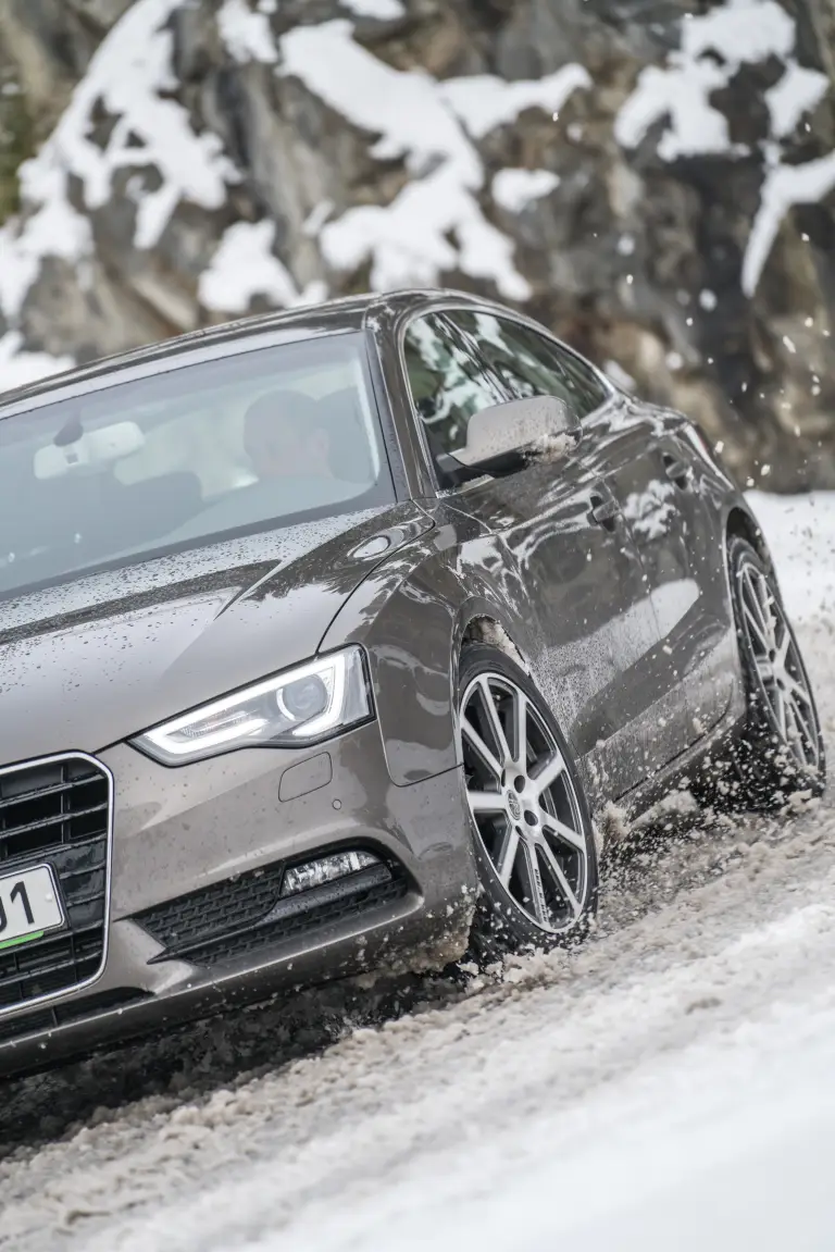 Nokian WR Snowproof 2019 - 14