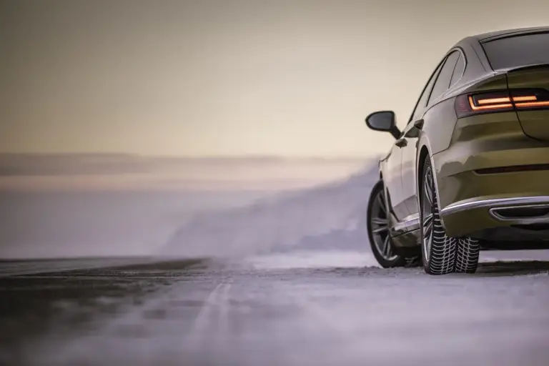 Nokian WR Snowproof - 18