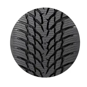 Nokian WR Snowproof - 30