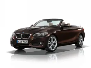 Nuova BMW Serie 2 Cabrio - 23