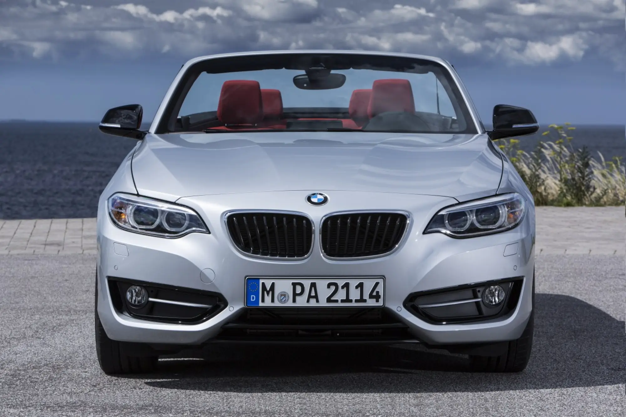 Nuova BMW Serie 2 Cabrio - 55