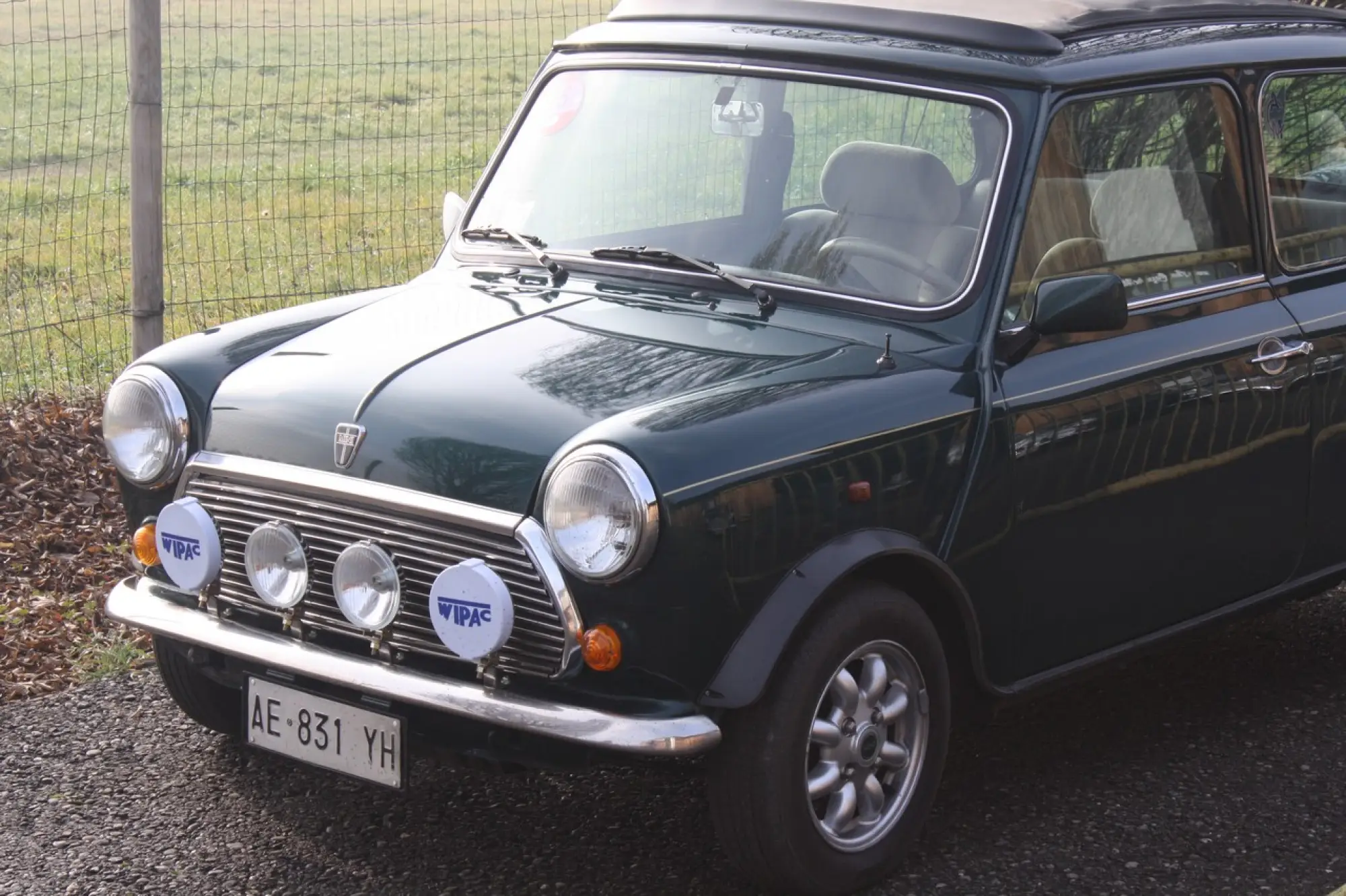 Old but Gold - Mini  - 100