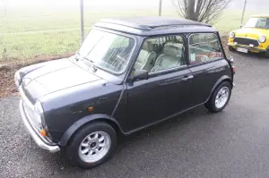 Old but Gold - Mini 