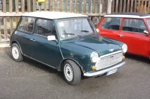 Old but Gold - Mini 