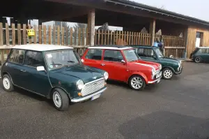 Old but Gold - Mini 