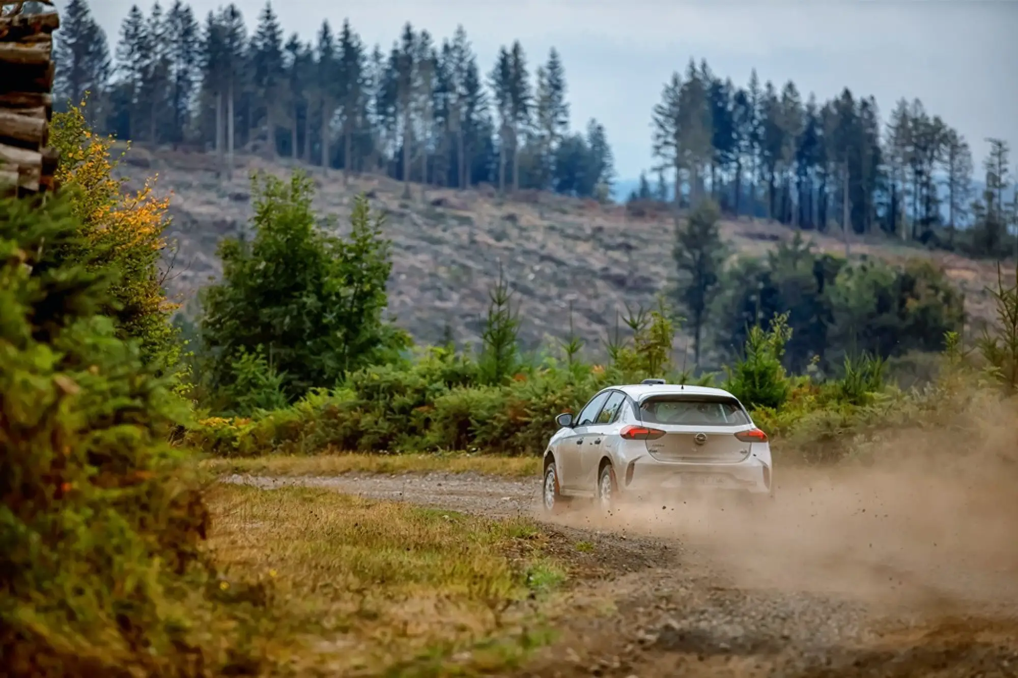 Opel Corsa Rally4 - 8