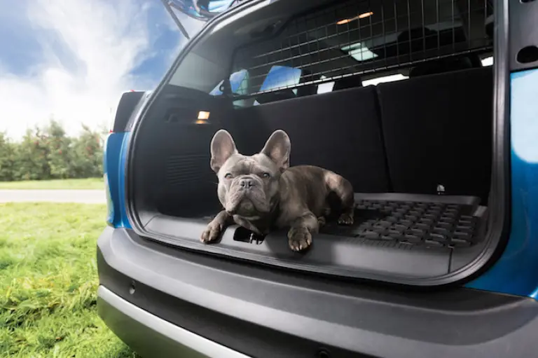 Opel Crossland X - accessori - 4