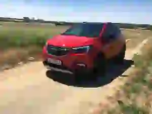 Opel gamma X Euro 6d-TEMP - Evento Mainz