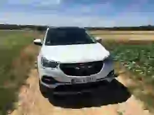 Opel gamma X Euro 6d-TEMP - Evento Mainz