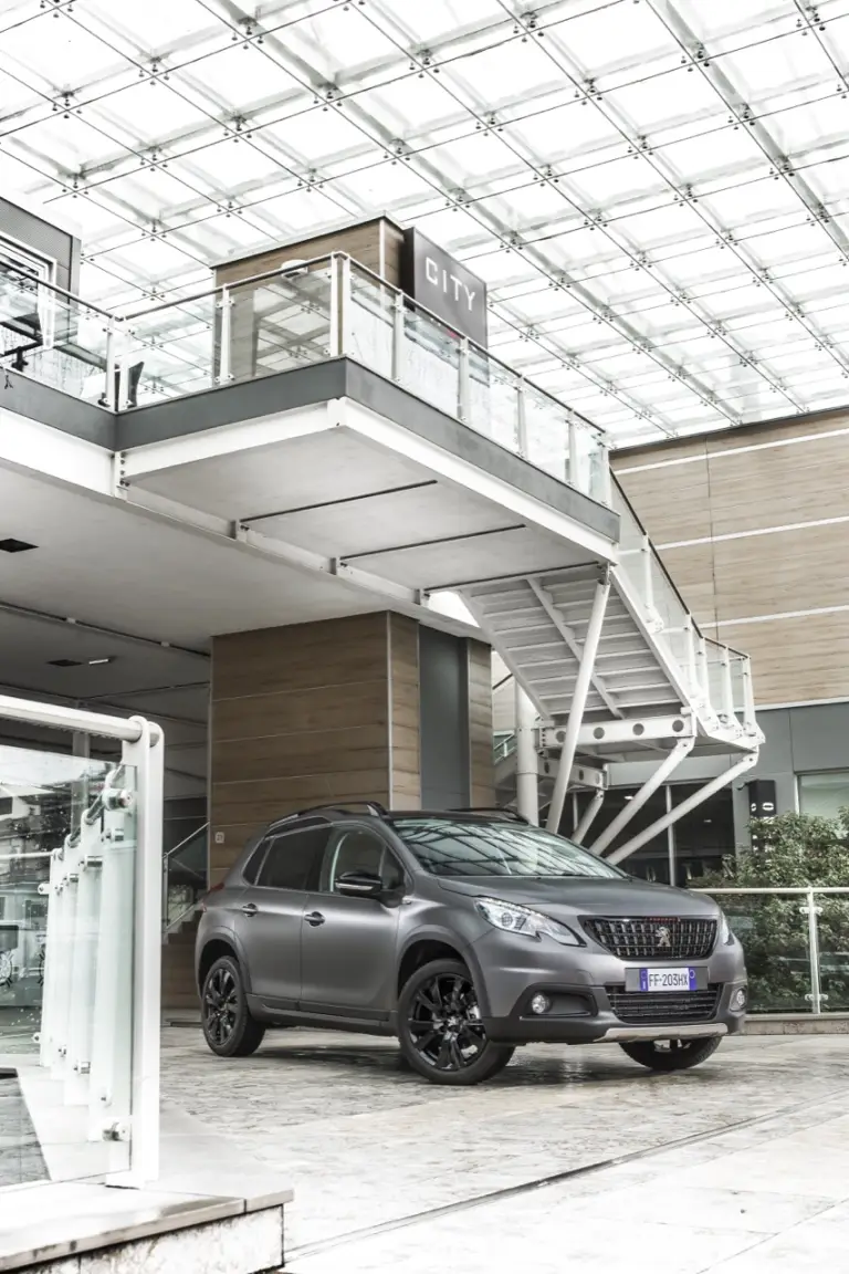 Peugeot 2008 Black Matt - 10
