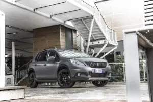 Peugeot 2008 Black Matt - 13