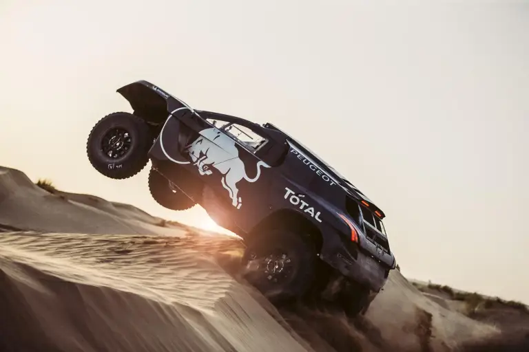 Peugeot 2008 DKR16 - 11