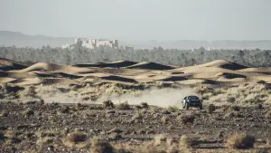 Peugeot 2008 DKR16 - 15