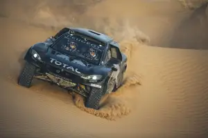 Peugeot 2008 DKR16 - 16