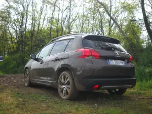 Peugeot 2008 prova su strada