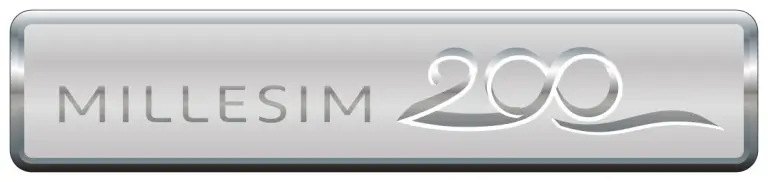 Peugeot 207 Millesim 200 - 3