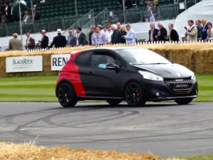 Peugeot 208 30th Anniversary - Goodwood 2014