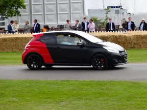 Peugeot 208 30th Anniversary - Goodwood 2014