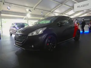 Peugeot 208 30th Anniversary - Goodwood 2014