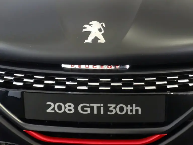 Peugeot 208 30th Anniversary - Goodwood 2014 - 5