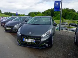 Peugeot 208 MY 2015 - Primo Contatto - 63