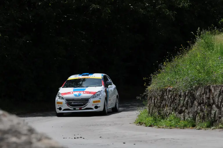 Peugeot 208 R2 e 208 R5 Test - 49